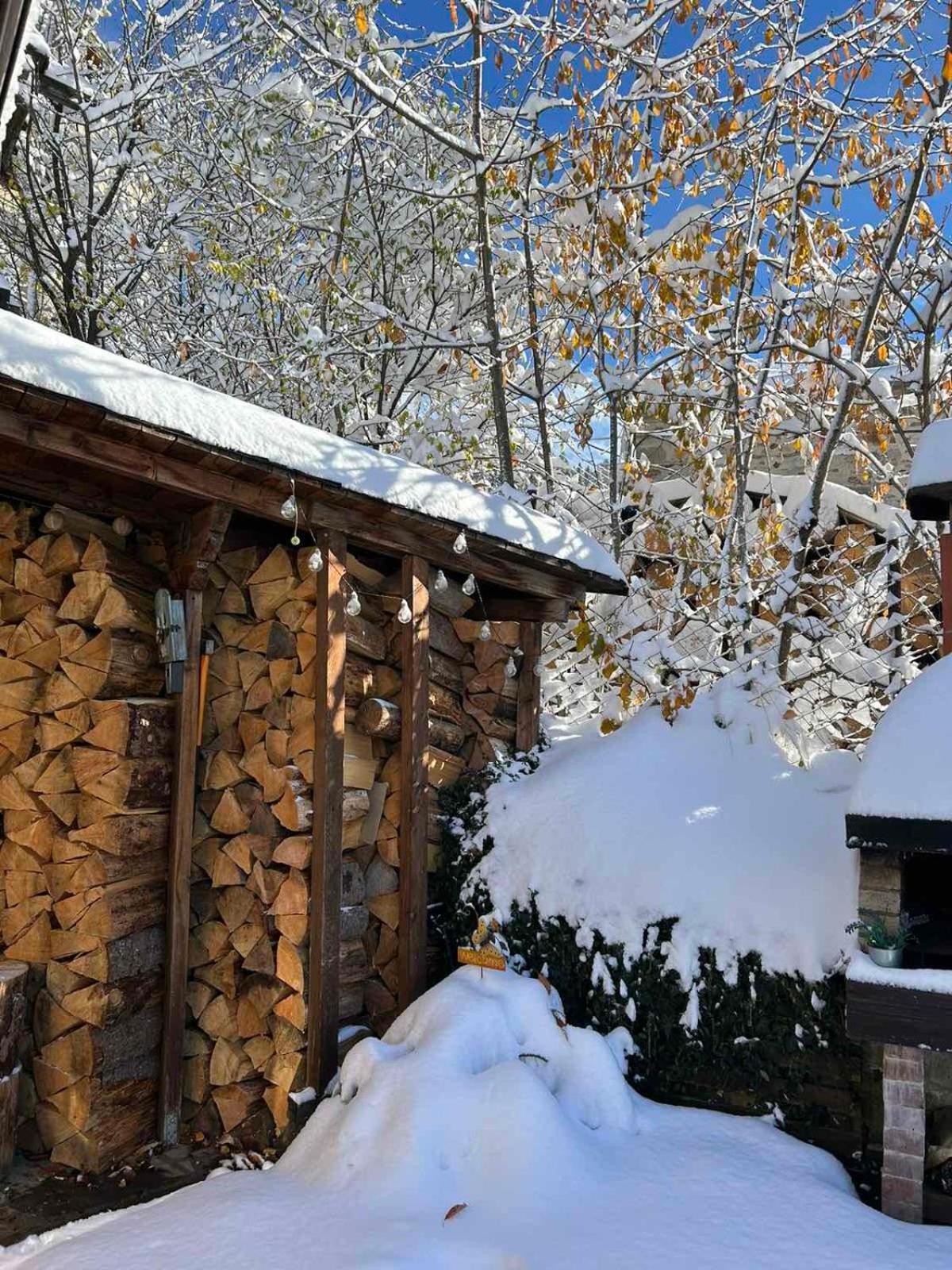 Chepelare Holiday Guest House Exterior photo